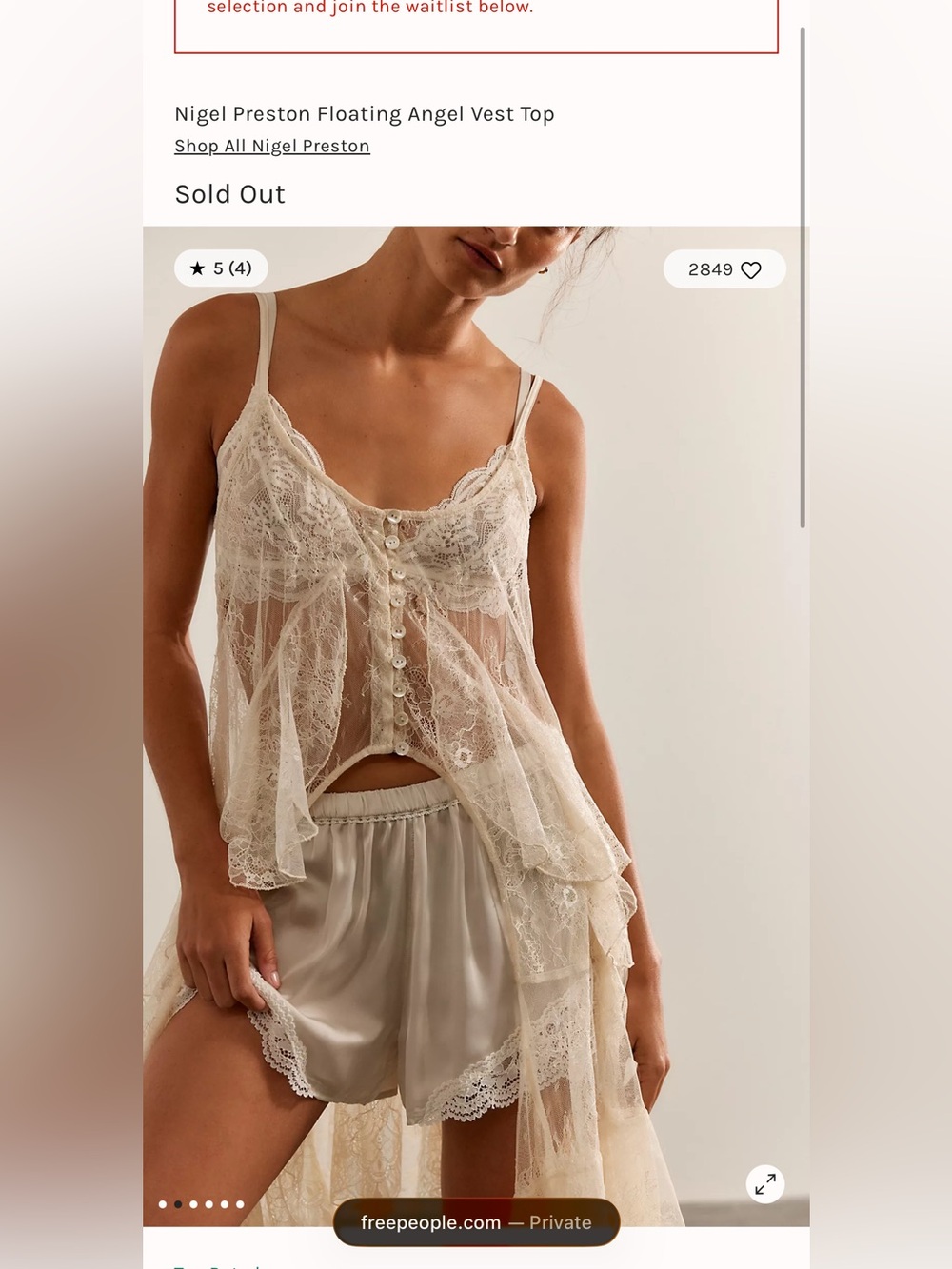 Free People Nigel Preston Floating Angel Lace Vest Top